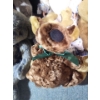 Image 2 : Stuffed Animals & Dolls