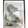 Image 2 : Alex Halliburton Lakeside Prowlers, Down From The Tundra, Spring Forager Prints