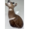 Image 4 : African Bushbuck 15W x 18D x 33T