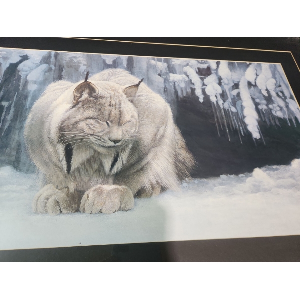 Framed and Signed Print of " Dozing Lynx "