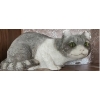 Image 2 : Two Sandicast Outdoor Cat Decor and One Ceramic Raccoon