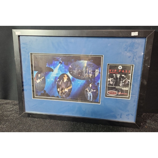 Matthew Good Avalanche Tour 2003, VIP Pass and Concert Photos, 16 X 22 Framed Under Glass