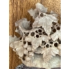 Image 2 : Soapstone Grapevine Sculpture On Rosewood Base 6L - Metamorphic Stone 