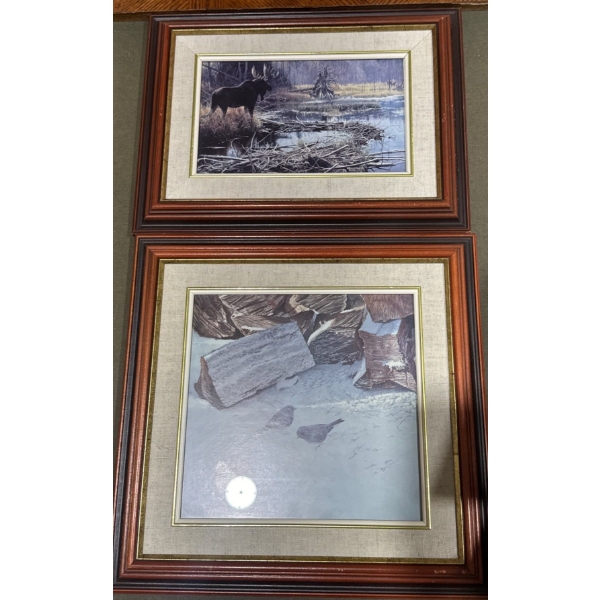 Set of 2 Nature Prints in Frames - Largest is 17" x 17"