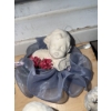 Image 5 : Angel Figurines and Clocks