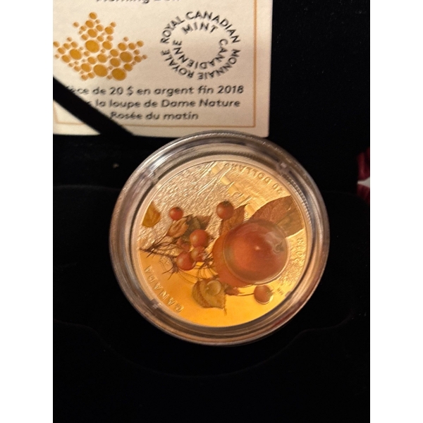 2017 $1 Our Home and Native Land - Special Edition Proof Silver Dollar