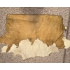 Image 2 : Tanned Hide - Possibly Antelope Or Goat 