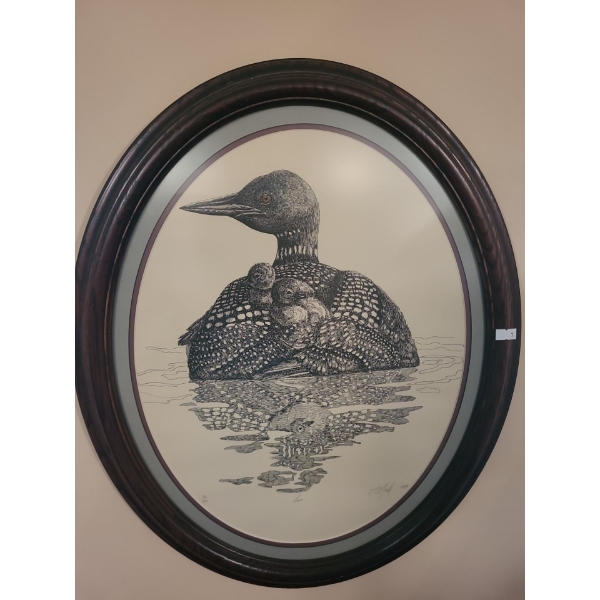 "Loon" Print, Artist L. O'Neill 1988, Numbered 36/250, 19 X 22, Framed Under Glass 