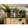 Image 3 : Display Shelf 21x29x64 w/ Decorative Faux Plants & More