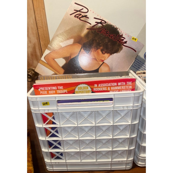 Mystery Vinyl Record Collection - Assorted Interests 