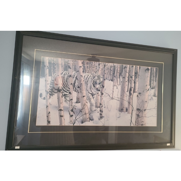 Snow Tiger Print - Artist Robert R. Copple, 43.5 X 28 Framed Under Glass 