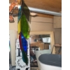 Image 3 : Home Decor Items Including Frames, Buckets, and Sign