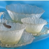 Image 2 : California Pastel Mist Frosted Glass - Large Bowl & Plate, 4 Smaller Cups w/ Plates(1 Slight Chip)
