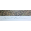 Image 3 : Robert Bateman's 444/950 Art Print  "Lions In The Grass"  42"x 30"tall