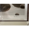 Image 3 : Joseph Koensgen "Into the Wild" Print 34Wx25H