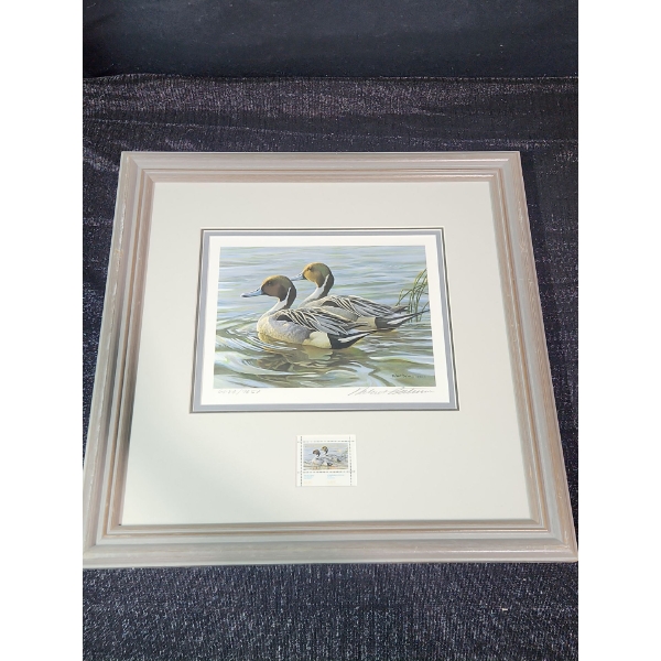 " Pintails in Spring" Signed Robert Bateman Print 