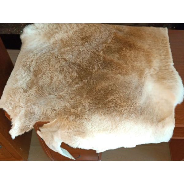 Natural Australian Kangaroo Skin & Tail  52"w x 29"t