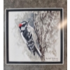 Image 2 : Framed Watercolor "Downy Woodpecker Study" By Canadian Artist Robert Batema 12''W*12''H INCHES.