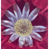 Image 3 : Swarovski Crystal Yellow Daisy, Red Daisy and Crystal Heart 