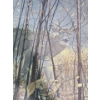 Image 1 : "White-tailed Deer Through the Birches" Framed Signed Print