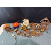 Image 1 : Cuckoo Clocks