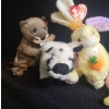 Image 2 : Beanie Babies- Assorted Including: Stubby, Nibblies, Dippy, Chinese Zodiac The Rat and More! 