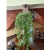 Image 2 : Modern Flower Art Paintings x2 With Large Silk Plant In Pot And Hanging Plant Planter 
