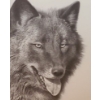 Image 3 : Black Wolf Artist Proof by Carl Brenders   Ltd Edition 17/76   24 w 26 h