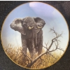 Image 5 : Decorative Collector Plates