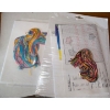 Image 4 : New Stich Kits Weaving Loom Macrame Rope & more