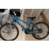 Image 1 : Freedom TECH TEAM 24' - 21 Speed Mountain Bike In Excellent Used Condition 