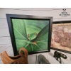 Image 3 :  Collection Of Framed Animal Art Prints And Several Small Animal Figurines , Wild Life Decorative