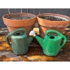 Image 1 : Terracotta Pots with Soil and Two Plastic Watering Cans