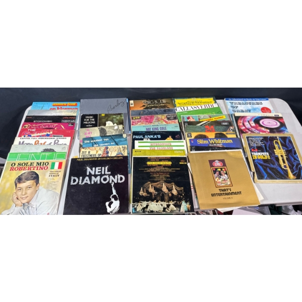 Large Collection of Vinyls