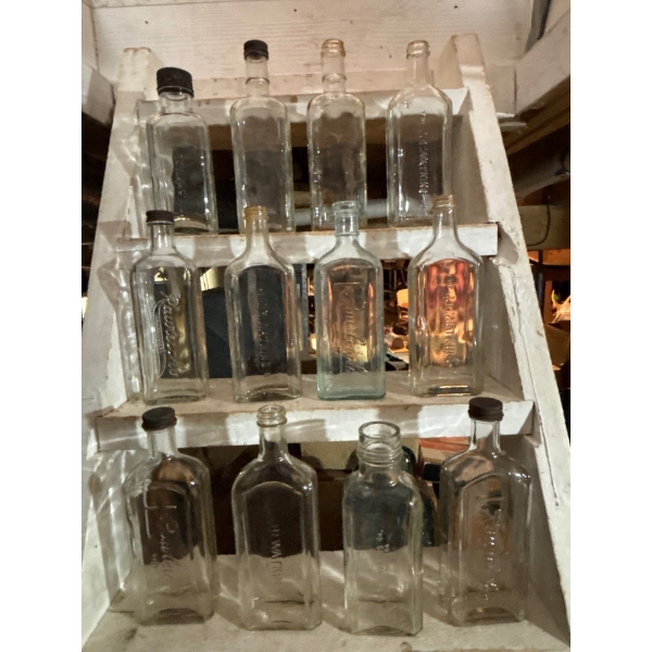 -collection of 12 various medicine bottles by Watkins Rawleigh's embossed glass medicine bottles  an