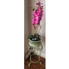 Image 1 : Metal Plantstand 9" Diameter, 25 T and Faux Orchid Plant 23 T 