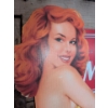 Image 5 : Old Milwaukee Lifesize Pin Up Babe w/ Matching Tape Measure Ice Bucket 2 Insulated Tumblers & More 