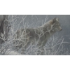 Image 3 : Numbered Print 1204/4500 "Winter Trackers", Artist Robert Bateman, 43.5 x 30 Framed Under Glass