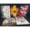 Image 1 : 5 Assorted Hockey Posters