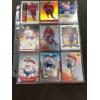 Image 2 : 10 Pages of 2000 - 2008 Upper Deck, In the Game, and Pacific Hocky Cards