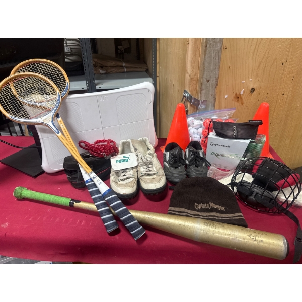 Sports Equipment and Accessories, Including Wii Fit Board