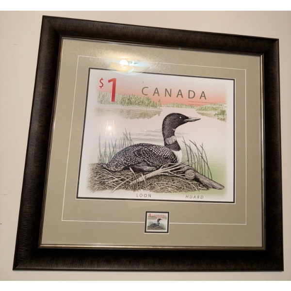 Framed Art Piece Ft. Canadian Postage Stamp Depicting The Northern Loon