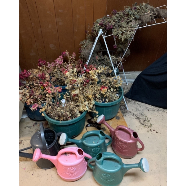 Garden Lovers Collection 