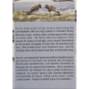 Image 3 : 2014 $100 for $100 Rocky Mountain Bighorn Sheep - 99.9% Fine Silver Coin - #2