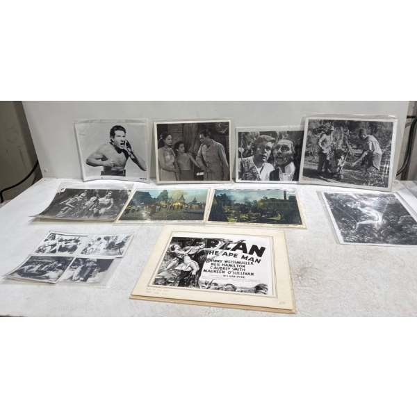 Collection of Stills from Tarzan the Ape Man