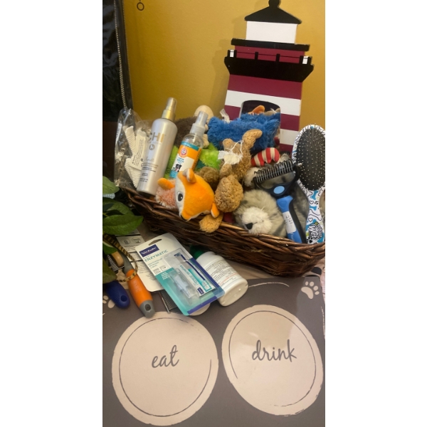  Doggie Delights & Grooming Tools- Blankets, Brushes, Activites & More!
