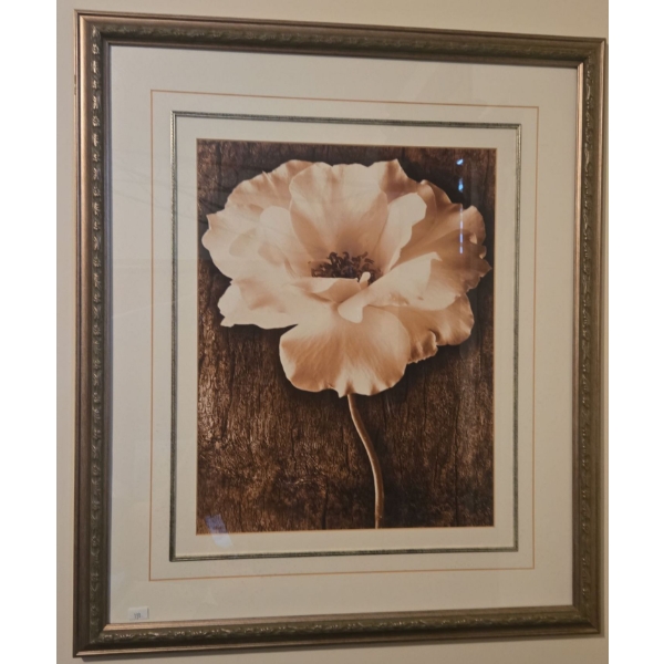 Floral Art Print Gold Frame 29 x 25