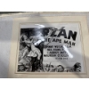 Image 7 : Collection of Stills from Tarzan the Ape Man