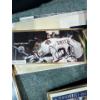 Image 6 : Signed Oilers Photos: Todd Marshant, Georges Laraque, Ethan Moreau, Grant Fuhr