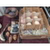 Image 1 : Ostrich Eggs and Decorative Natural Objects Assortment
